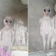 Illustration for article titled Someone Call Mulder, I Got Aliens In My Attic